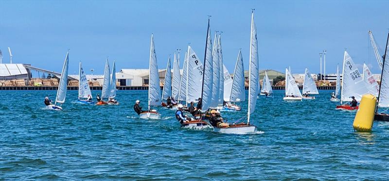 P class - 2024 Tauranga Cup, January 7, 2024, Tauranga - photo © Gary Smith