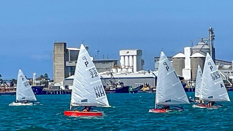 P class - 2024 Tauranga Cup, January 7, 2024, Tauranga photo copyright Gary Smith taken at Tauranga Yacht & Powerboat Club and featuring the P class class