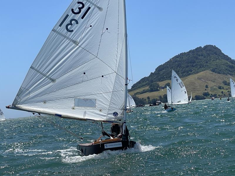 Lauren Arnold - P class - 2024 Tauranga Cup, January 9, 2024, Tauranga - photo © Gary Smith