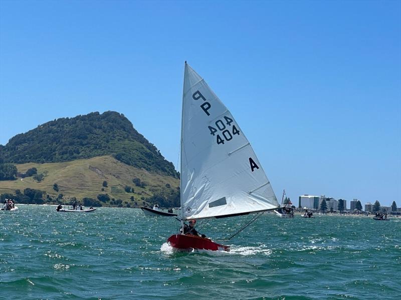 Callum Hyde - P class - 2024 Tauranga Cup, January 9, 2024, Tauranga - photo © Gary Smith