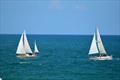 Yachts competing in the Gulfstreamer pass the Daytona Beach Main Street Pier en route to the finishing line off of Charleston, South Carolina © GulfStreamer Offshore Sailboat Challenge