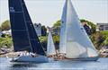 The third annual Rhody Regatta to benefit the Rhode Island Food Bank is Saturday, May 31. Dorade (right) won overall in 2024 © Stephen Cloutier