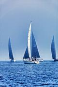 Chester Race Week 2025 © Bob Pettipas