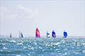  PIC Harbour Classic, Waitemata Harbour,  March 21, 2026 &copy; Marcus Brummel / Live Sail Die