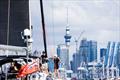  PIC Harbour Classic, Waitemata Harbour,  March 21, 2026 &copy; Marcus Brummel / Live Sail Die