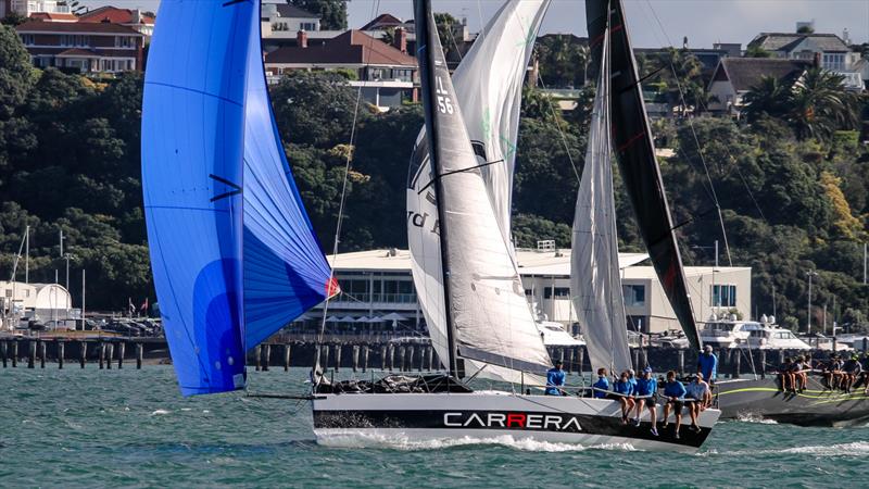 Carrera - Doyle Sails Evening Race - Royal New Zealand Yacht Squadron, January 19, 2021 - photo © Richard Gladwell - Sail-World.com/nz