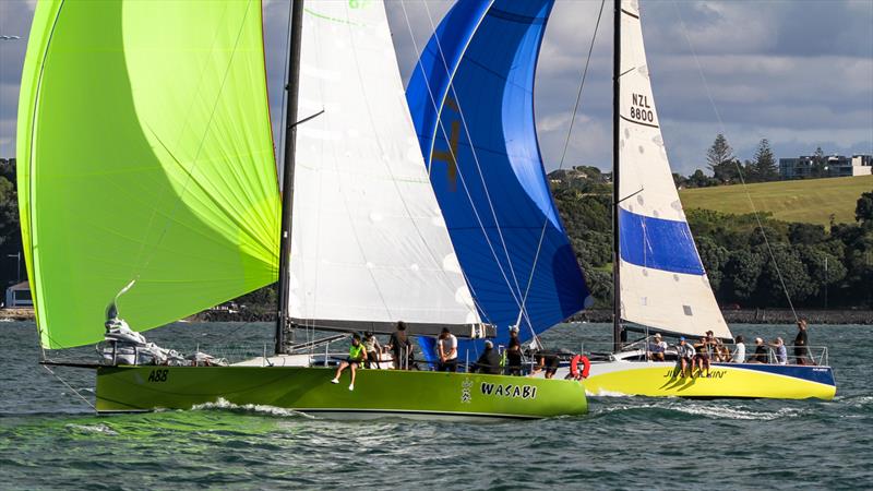 Doyle Sails Evening Race - Royal New Zealand Yacht Squadron, January 19, 2021 - photo © Richard Gladwell - Sail-World.com/nz