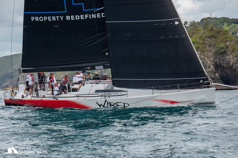 Wired - Bay of Islands Sailing Week - Bay of Islands, Northland NZ - January 2023 - photo © Jacob Fewtrell Media