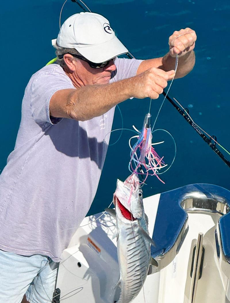 Looks like someone was put to work and had a wahoo time - photo © Riviera Australia