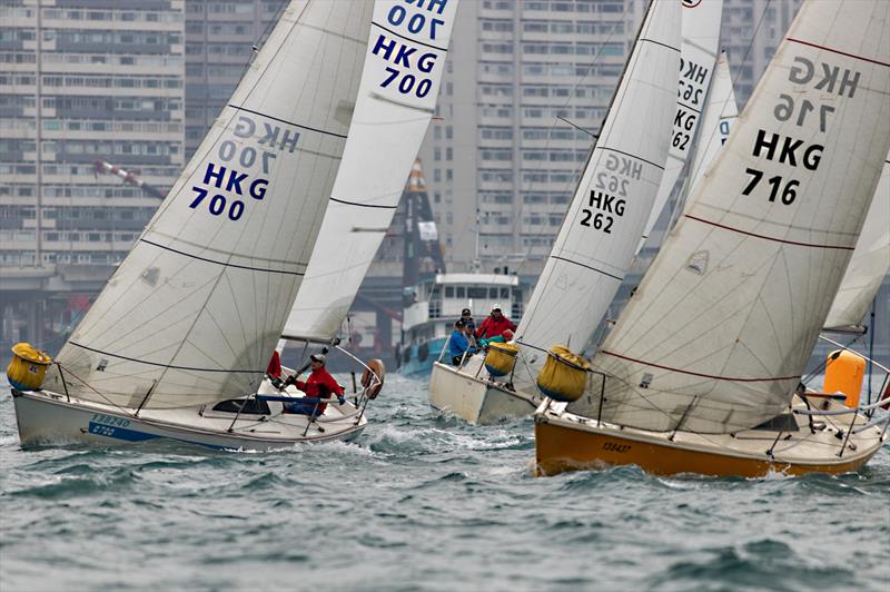 Volvo Ladies' Helm 2024 - photo © RHKYC / Guy Nowell