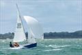 RS200s at the Lymington Dinghy Regatta © Tristan Jones / www.nautipics.co.uk