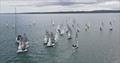 Irish RS Northerns at Carrickfergus Sailing Club &copy; Stephen Donnelly