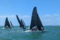Day 4 - Rooster Elite One Design UK Nationals at Hayling &copy; Debbie Jarvis