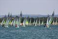 72nd Junior Schools Championship at Itchenor &copy; Kirsty Bang