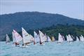 62nd Australian Sabot Championships &copy; Tony Ritter