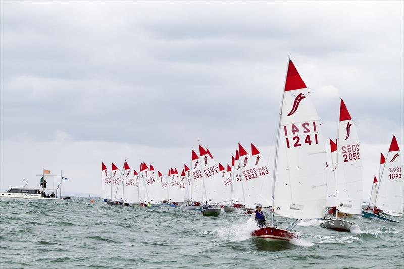 39th Sabre Australian Championships - Big fleet start - photo © Alex McKinnon