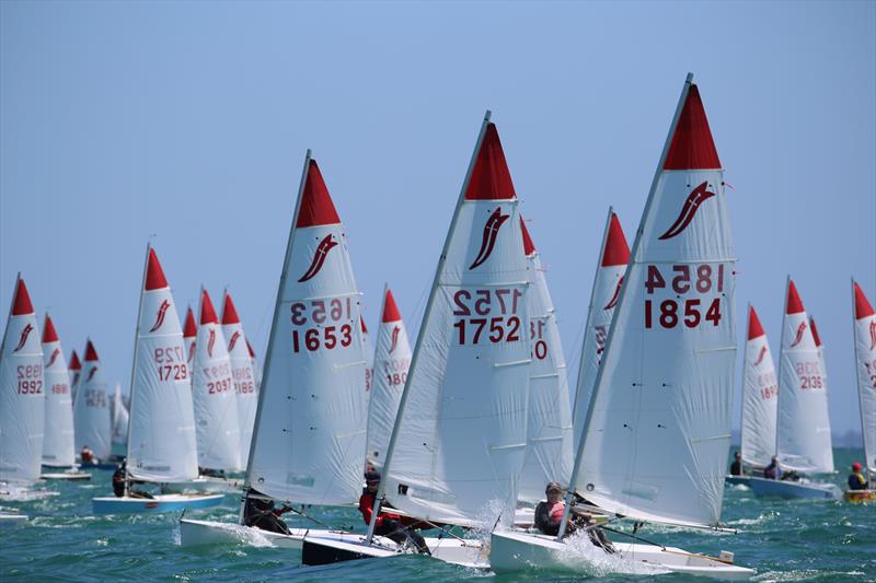 After the start during the 2022 Victorian Sabre State Titles - photo © Russell Bates