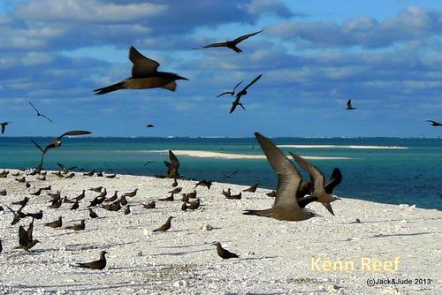 Kenn Reef - Great protection, fabulous diving © Jack Binder