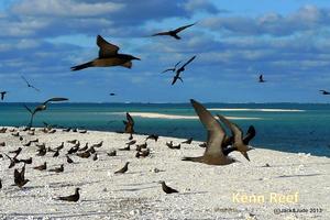 Kenn Reef - Great protection, fabulous diving photo copyright Jack Binder taken at  and featuring the  class