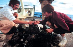 Knorr took scientists to get their first surprising views of the seafloor on the mid-ocean ridge in the historic French-American Mid-Ocean Undersea Study (Project FAMOUS) in 1973. The research cruise was historic in another way: Eight women aboard represented the first significant female participation at sea in a large oceanographic program. Over the years, Knorr also broke barriers to welcome women aboard WHOI ships as crew members. photo copyright WHOI Archives taken at  and featuring the  class