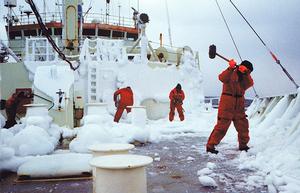 Knorr crew affectionately called themselves Knorrons. Many stayed aboard for decades, becoming a tight-knit group. They worked closely with scientists, and had a knack for overcoming challenges. On a Labrador Sea cruise in the winter of 1997, all hands had to break dangerous ice buildup from the bow, including then-Captain A.D. Colburn, swinging a mallet. photo copyright George Tupper, WHOI taken at  and featuring the  class
