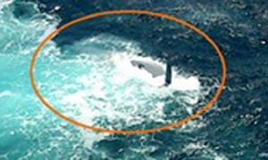 Hull sighting: On Saturday, a cargo vessel, the MV Maersk Kure, spotted and photographed an overturned hull, pictured, which matched the description of the Cheeki Rafiki but reported no signs of people on board. photo copyright MailOnline taken at  and featuring the  class