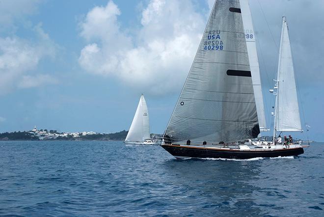 Merlin and Cadence battle to wire.. © Barry Pickthall / PPL