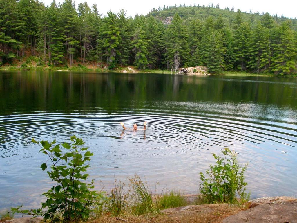 Lake Temiskaming © Virgil Knapp and Trish Robinson