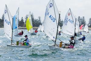 Optis and Flying 11 finish photo copyright Robin Evans taken at  and featuring the  class