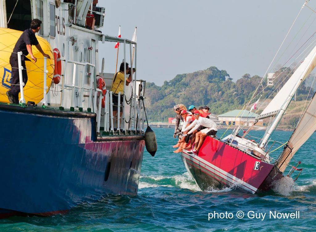 Phoenix poses for the camera. Royal Langkawi International Regatta 2015 © Guy Nowell http://www.guynowell.com