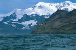 Mountain range on Antarctic Coast © Blizzard Expeditions www.blizzardexpeditions