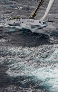 Loyal - rom Merimbula to Flinders Island - Rolex Sydney Hobart Race 2010 photo copyright  Rolex / Carlo Borlenghi http://www.carloborlenghi.net taken at  and featuring the  class
