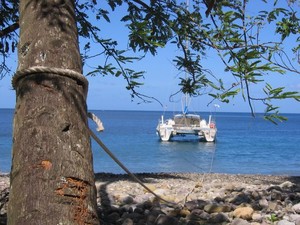 Karibikfeeling - In der Bucht von Soufriere liegen wir mit Heckleine an einer Palme photo copyright  SW taken at  and featuring the  class