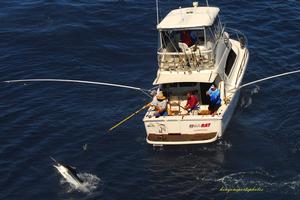 MooloolabaBillfishBash from a chopper photo copyright Kenyon Sports taken at  and featuring the  class