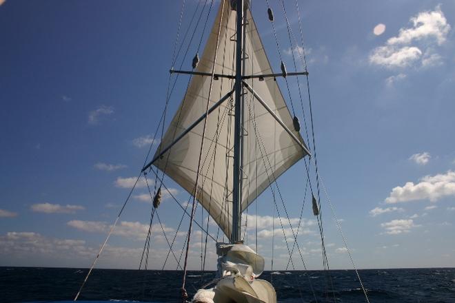 Twin headsails for downwind running offshore © Nick Ward