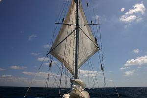 Twin headsails for downwind running offshore photo copyright Nick Ward taken at  and featuring the  class