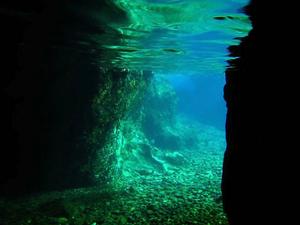The afternoon sunlight illuminates the underwater flora and fauna of Norman Island photo copyright Karen E. Lile taken at  and featuring the  class
