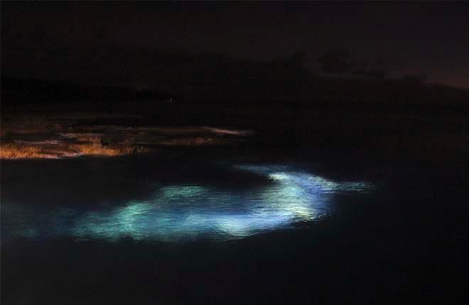 Nightdive off pier © Annika Thomson