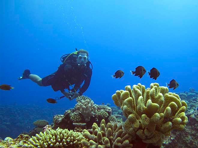 Thommo on the reef © Annika Thomson