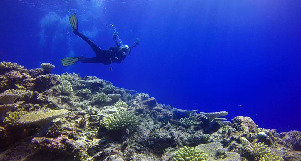 Annika on the reef © Annika Thomson