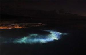 Nightdive off pier photo copyright Annika Thomson taken at  and featuring the  class