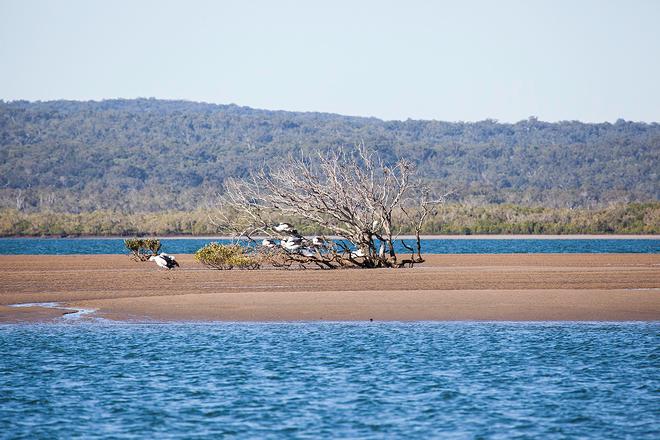 There is a reason it is a low wash area - apart from not making their home awash, you'll get your nav correct and with all the sand in the area, you'll want to!!! ©  John Curnow