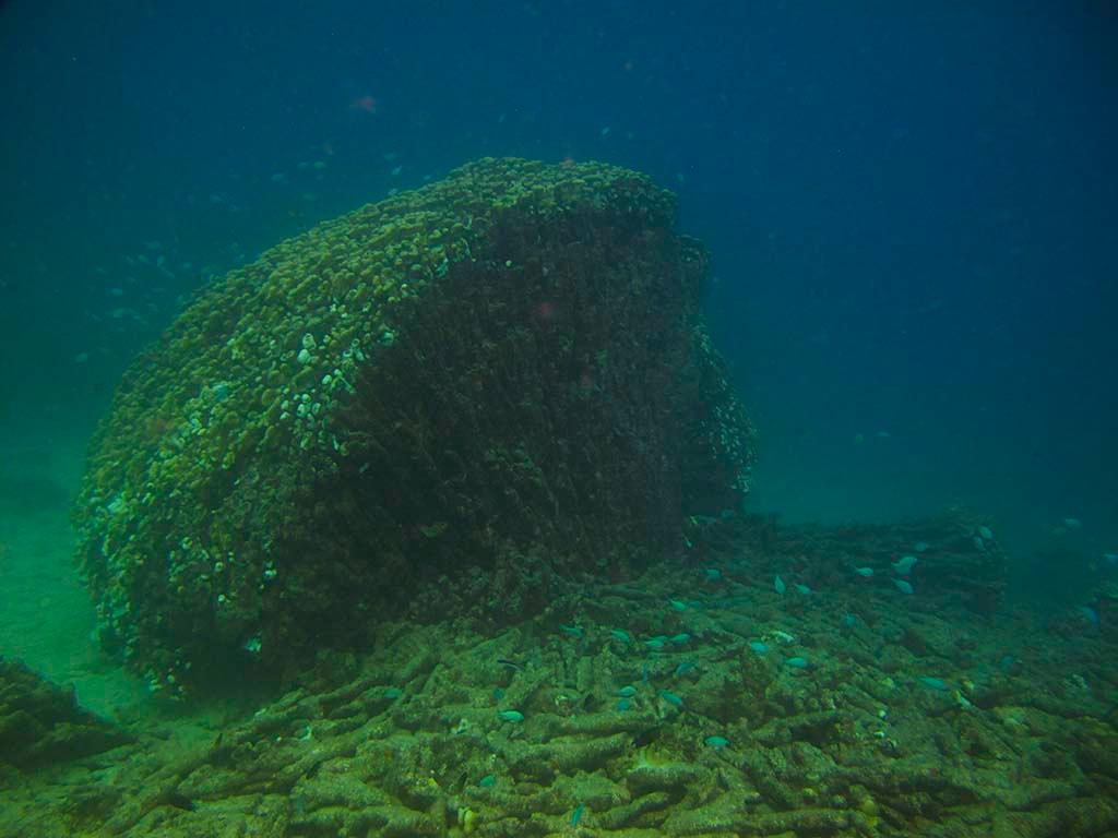 Broken Reef © Annika Thomson