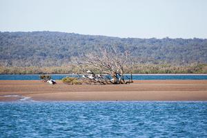 There is a reason it is a low wash area - apart from not making their home awash, you'll get your nav correct and with all the sand in the area, you'll want to!!! photo copyright  John Curnow taken at  and featuring the  class