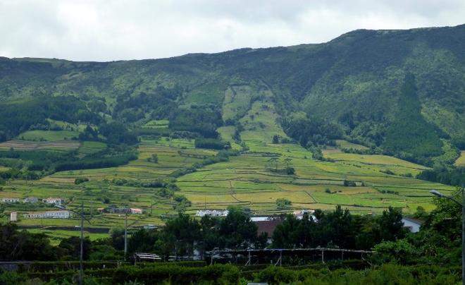 Farming of cattle and some crops inside the stone walled fields on steep hillsides © SV Taipan