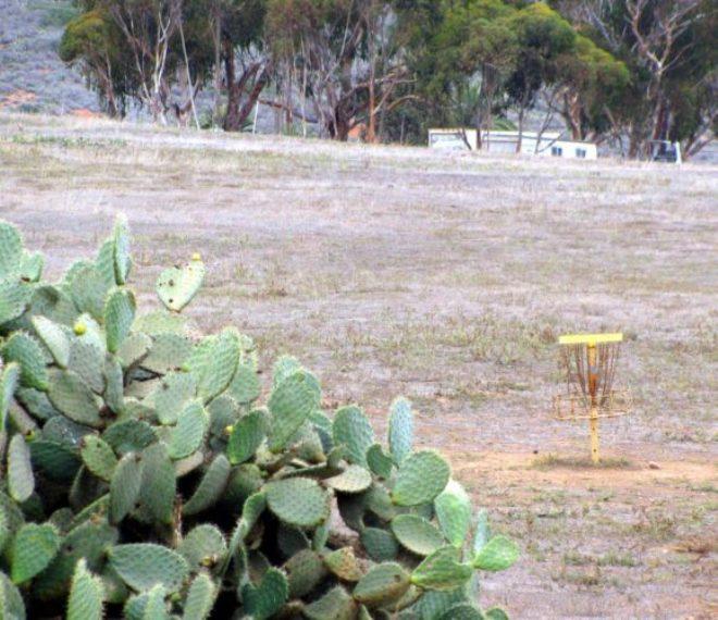 Santa Catalina Island disc golf hazard © Bluewater Cruising Association