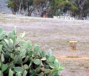 Santa Catalina Island disc golf hazard photo copyright Bluewater Cruising Association taken at  and featuring the  class