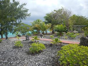 Garden planted in coral rubble photo copyright Andrew and Clare Payne taken at  and featuring the  class