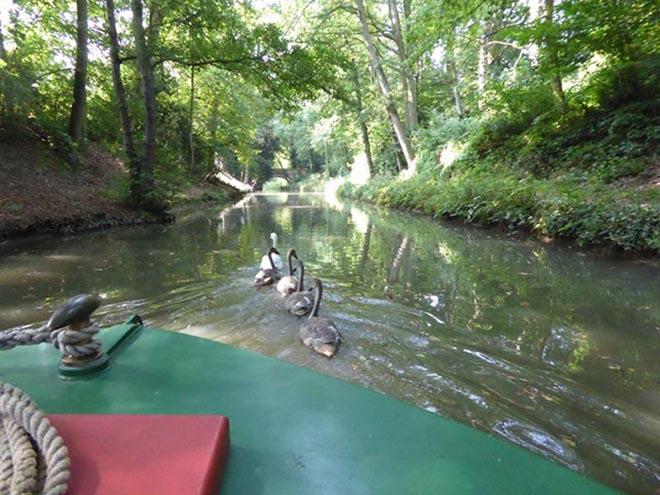 Awayday on the Basingstoke Canal © Maggie Widdop