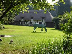 Awayday on the Basingstoke Canal photo copyright Maggie Widdop taken at  and featuring the  class